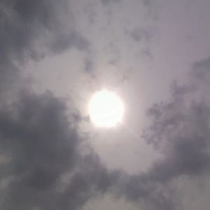 Meet your Posher, Marcy